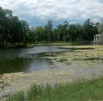 Načela grupiranja bilja u oblikovanju krajobraza